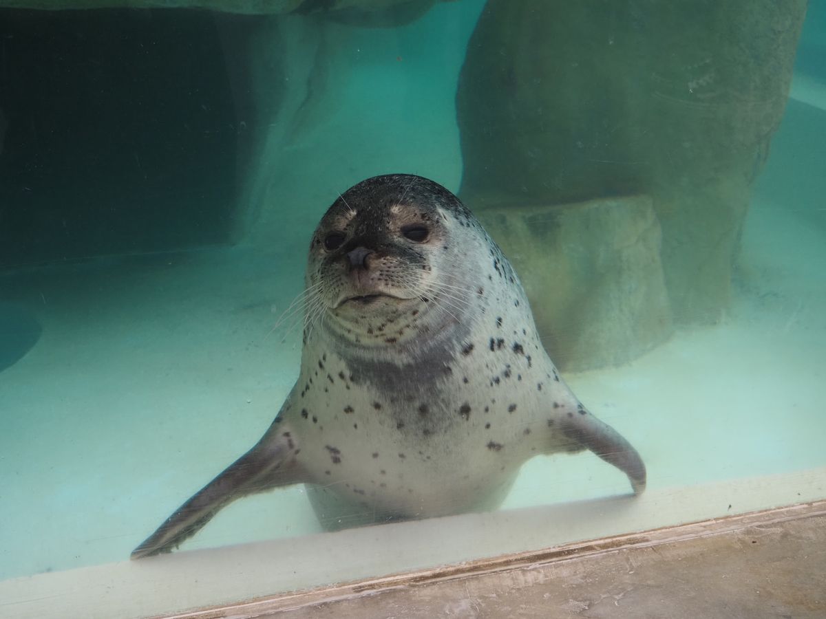 ファンサ良すぎる♡