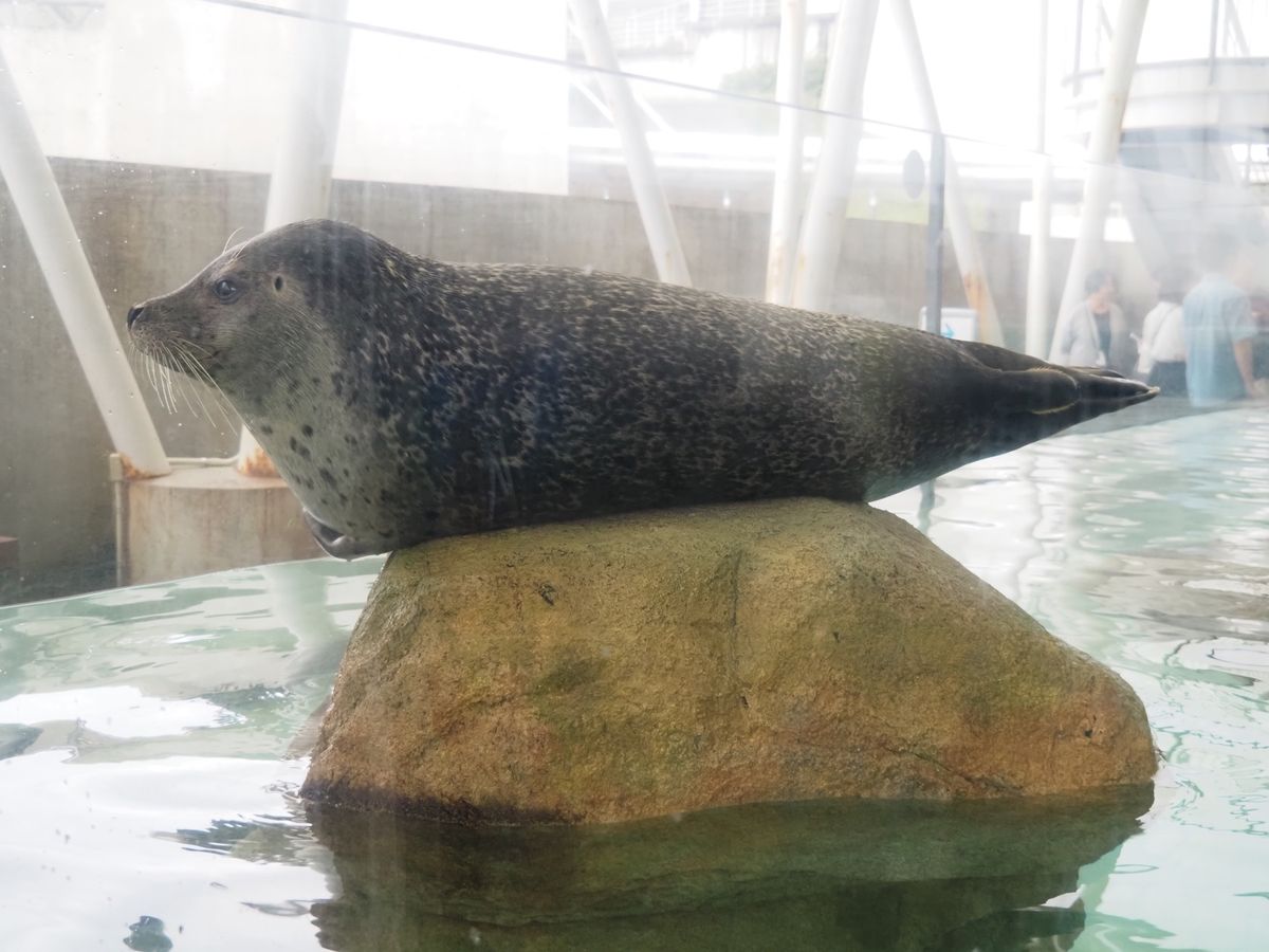 おひるね中。
可愛すぎる♡