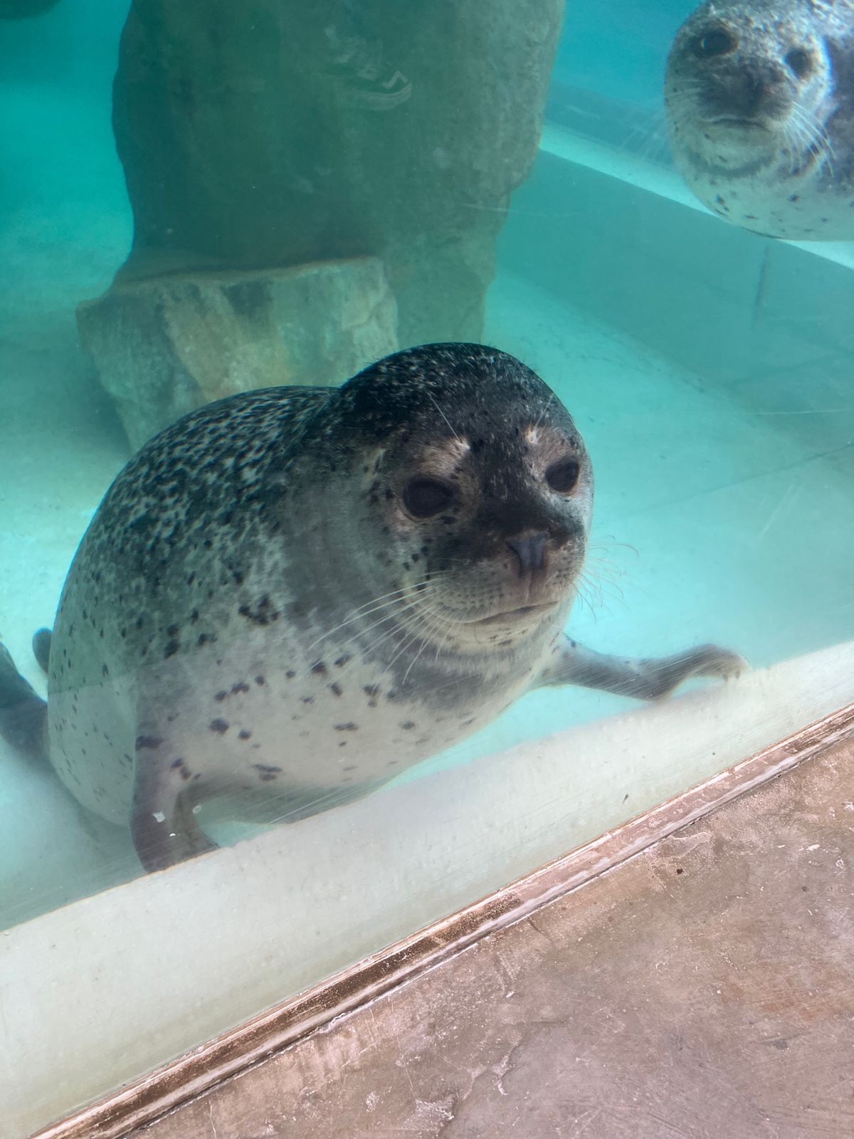 ファンサ良すぎる♡