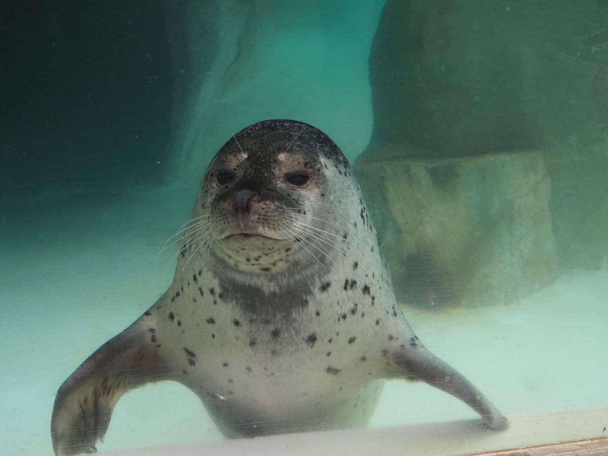 ファンサ良すぎる♡