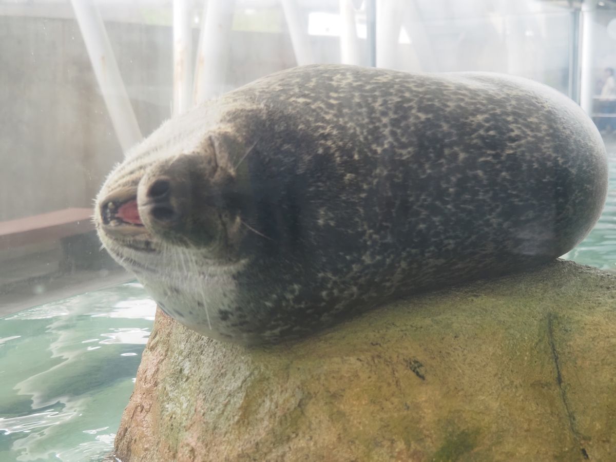 おひるね中。
可愛すぎる♡