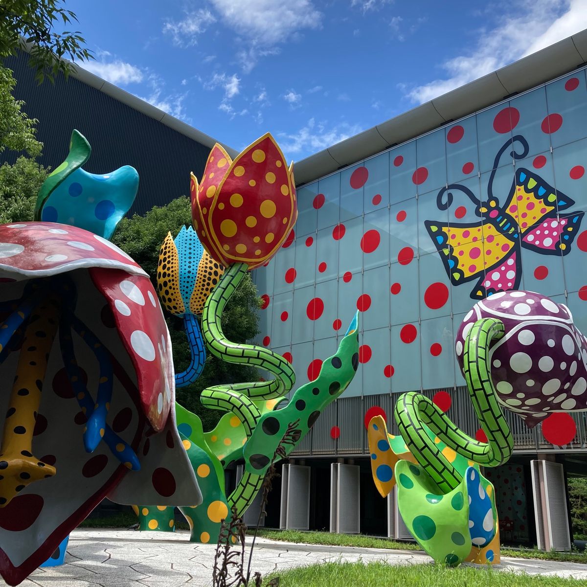 松本市美術館 。
草間ワールドでした。