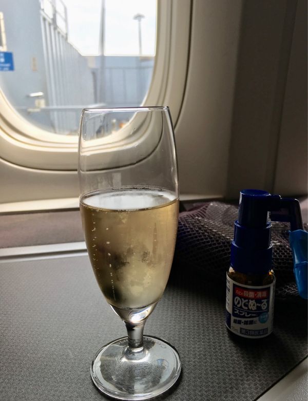 香港・跑馬地 Happy Valley「NRT ✈︎ HKG ✈︎ NRT」の写真：帰路に着きます