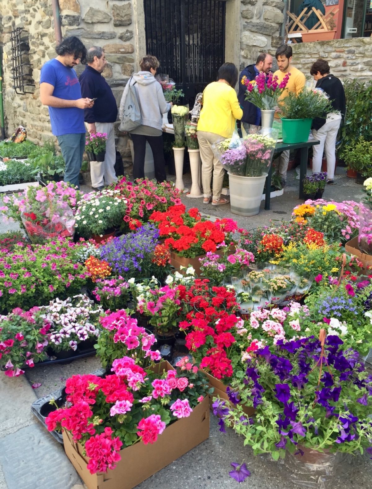 翌日はモンテロッソ以外の村を訪れます。先ずボートで向かったのはヴェルナッツァ