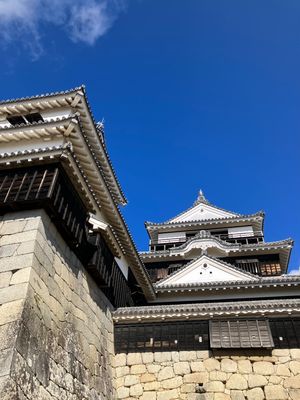 松山城🏯
リフトに乗って行きます🛗
初めてみるお城の作りでした。