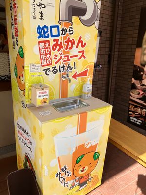 とにかくみかん王国だった🍊