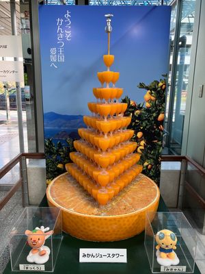 とにかくみかん王国だった🍊