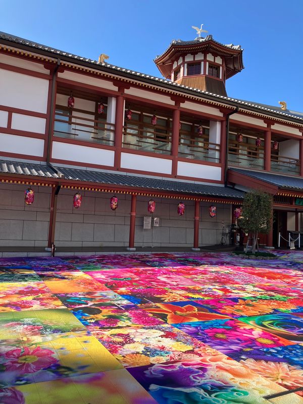日本・松山市「道後オンセナートの旅🍊」の写真：蜷川実花🌷
道後オンセナート🌻