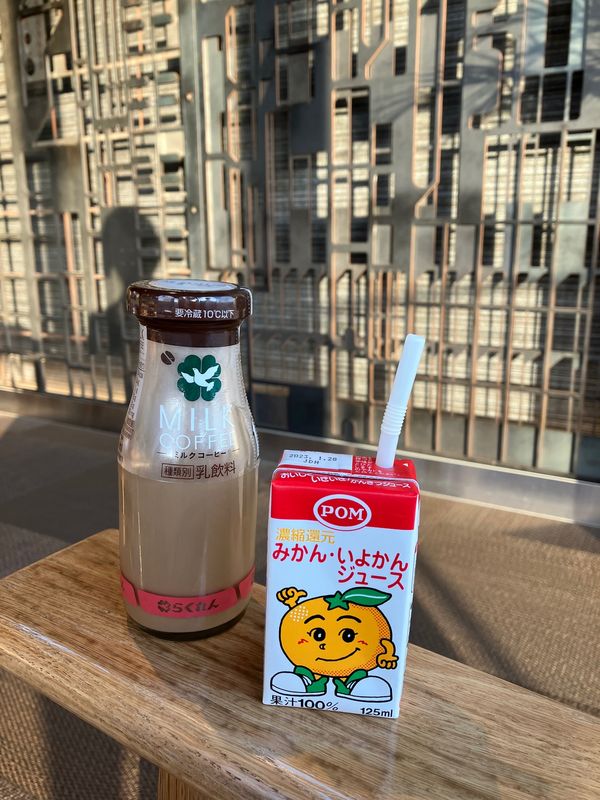 日本・松山市「道後オンセナートの旅🍊」の写真：宿もなかなか良かった♡