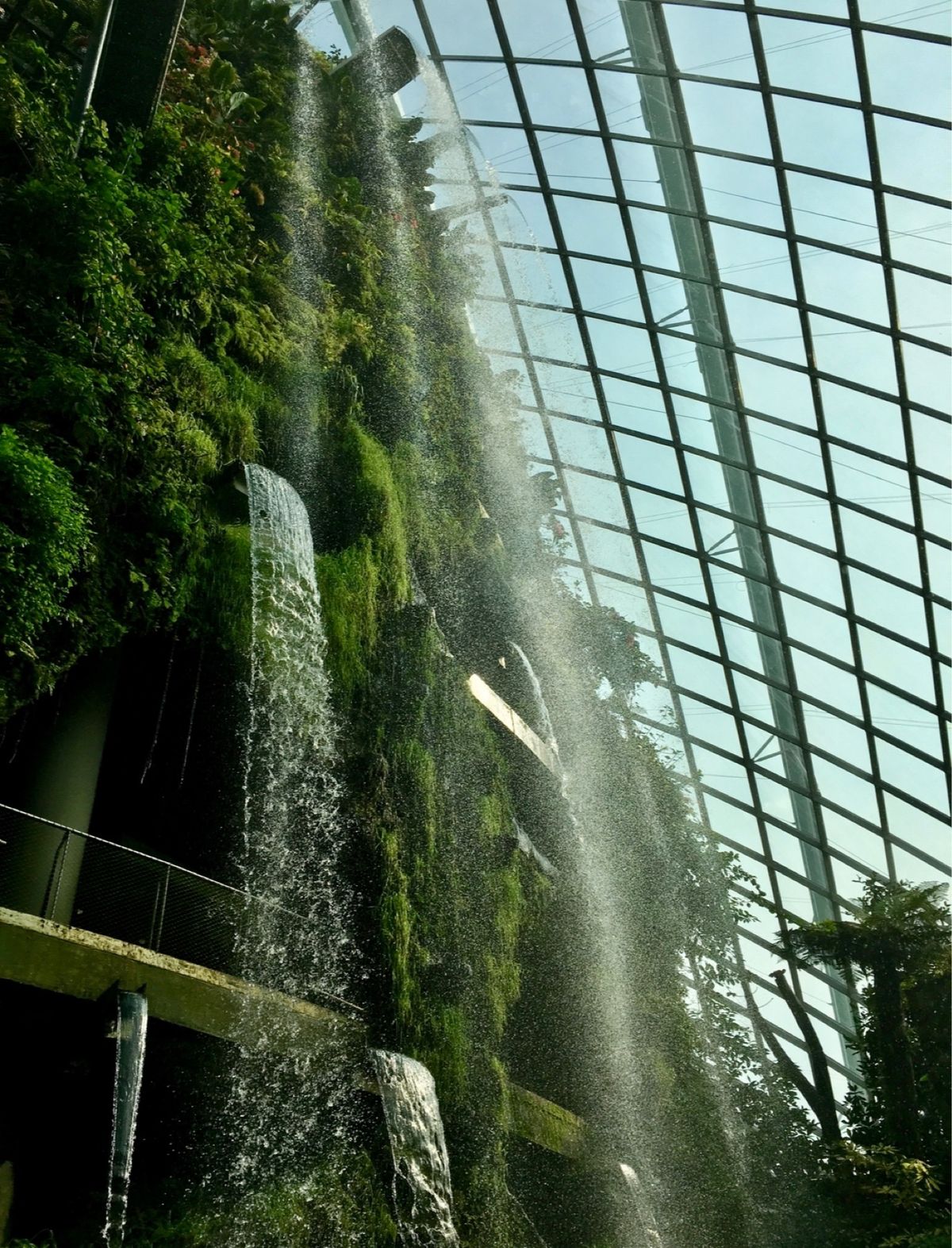 クラウド･ウォーク＆ツリートップ･ウォーク