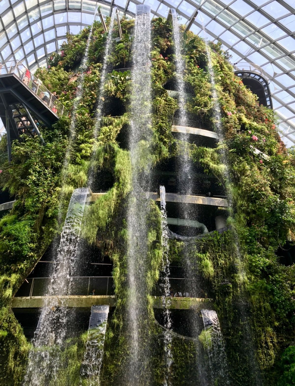 クラウド･ウォーク＆ツリートップ･ウォーク