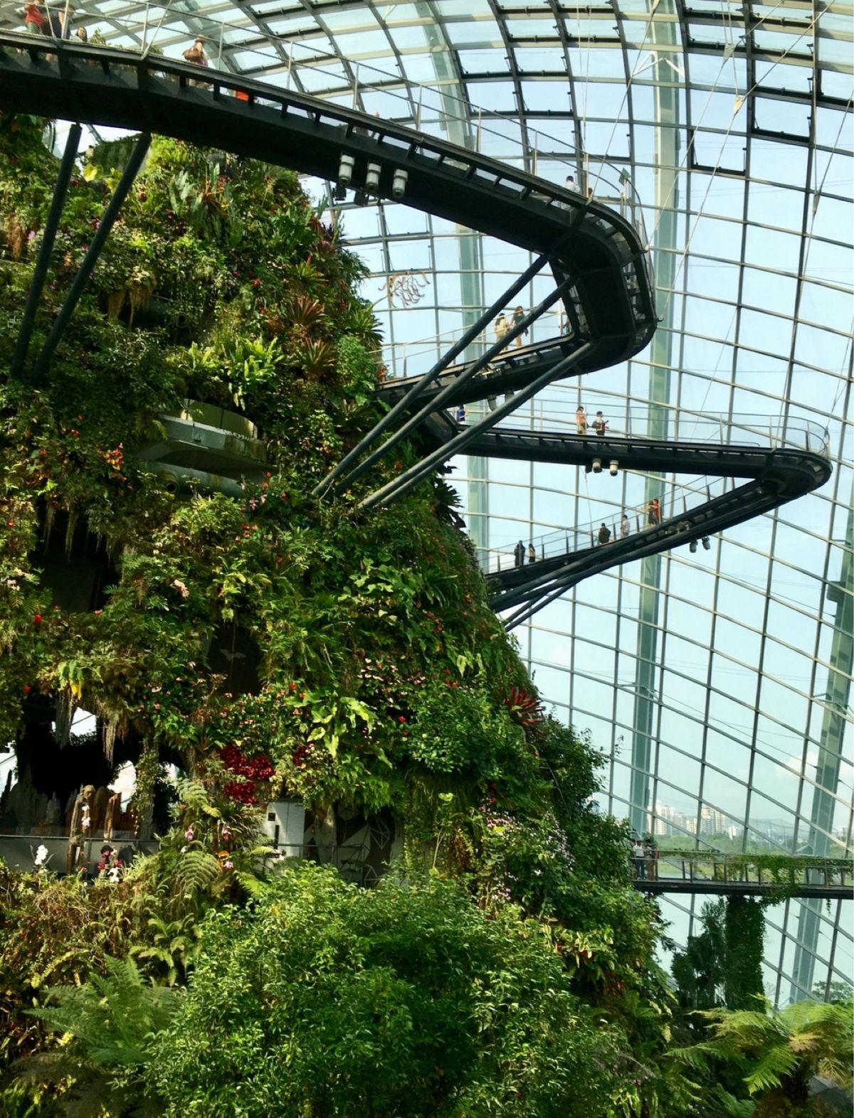 クラウド･ウォーク＆ツリートップ･ウォーク