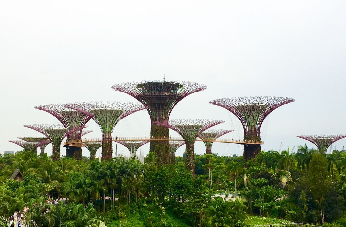 ガーデンズ•バイ•ザ•ベイ