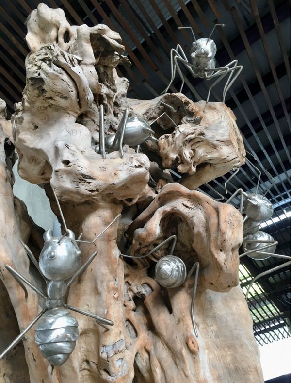 香港・跑馬地 Happy Valley「 NRT ✈︎ HKG ✈︎ SIN ✈︎ BKK ✈︎ HKG ✈︎ NRT」の写真：ガーデンズ•バイ•ザ•ベイの目的はバオバ...