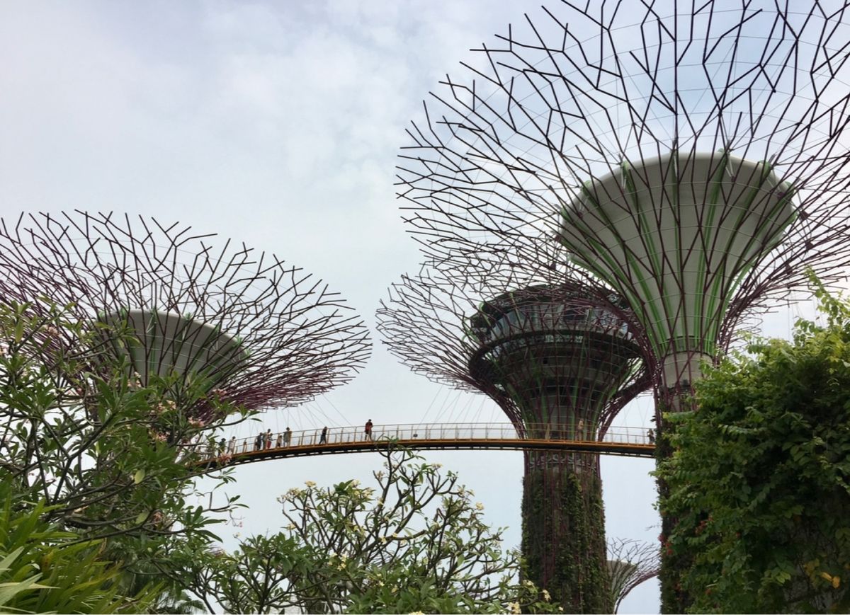 ガーデンズ•バイ•ザ•ベイ