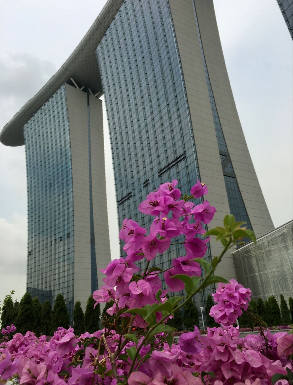 マリーナ•ベイ•サンズ