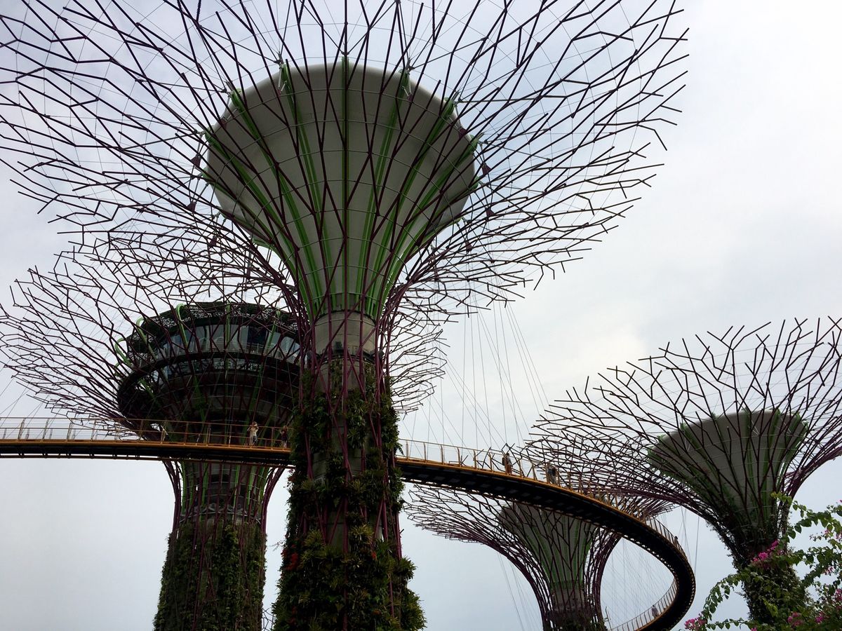 ガーデンズ•バイ•ザ•ベイ