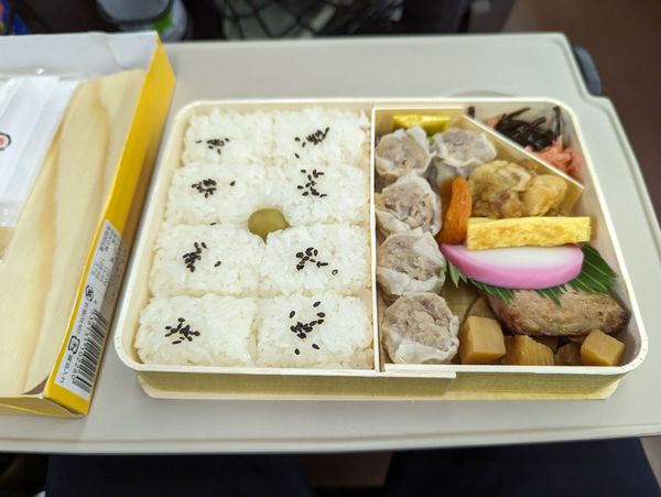 日本・軽井沢「軽井沢プリンスホテル」の写真:三連休の東京駅はお盆並に混んでた!
崎陽...
