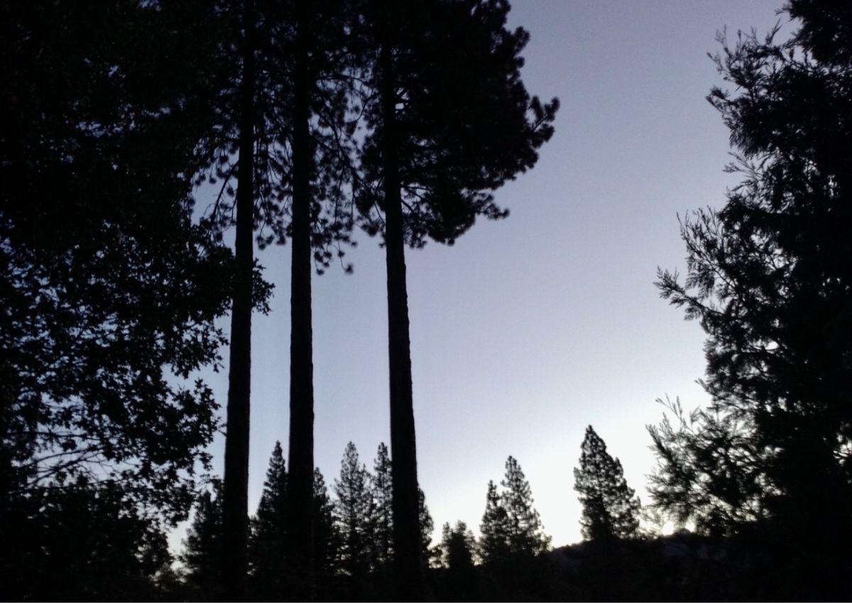 ヨセミテに到着