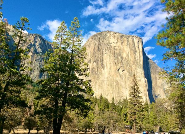 アメリカ(米国)・サンフランシスコ「NRT ✈︎ HKG ✈︎ SFO ⛐ Yosemite ⛐ SFO ✈︎ HKG ✈︎ NRT」の写真：MAC OSの名前にもなったエル•キャピ...