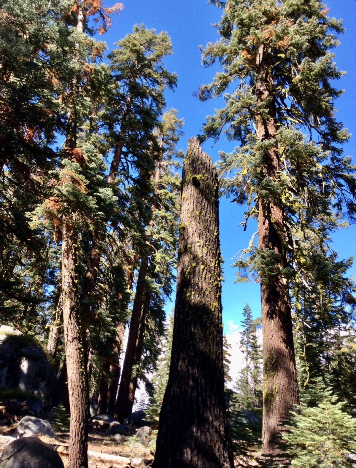 グレーシャーポイントでの感動が覚めやらぬ中、次の目的地タフトポイントへ。
...