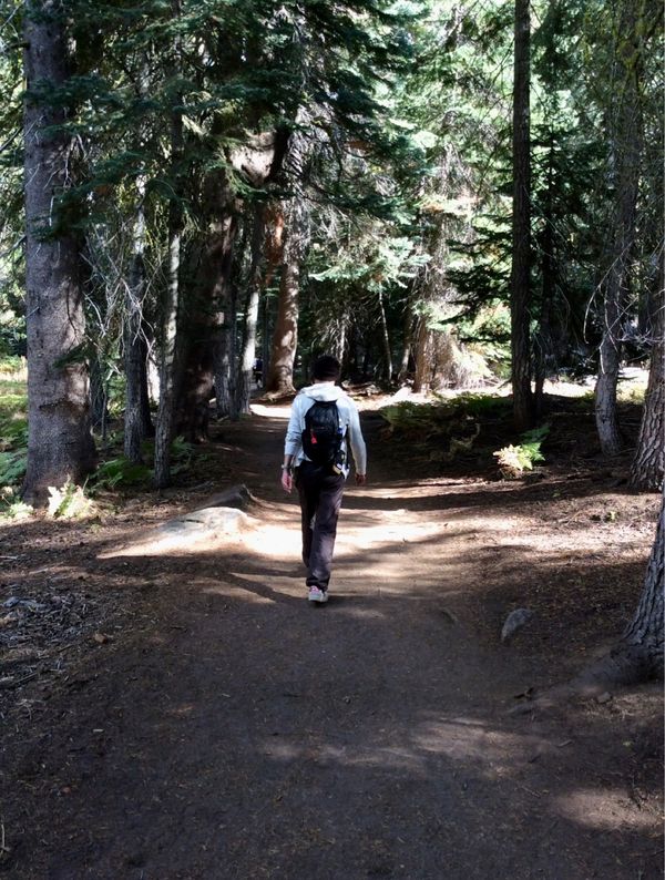 アメリカ(米国)・サンフランシスコ「NRT ✈︎ HKG ✈︎ SFO ⛐ Yosemite ⛐ SFO ✈︎ HKG ✈︎ NRT」の写真：ヨセミテ、スケールが違い過ぎました。