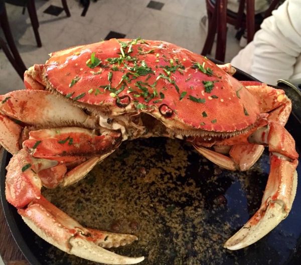 アメリカ(米国)・サンフランシスコ「NRT ✈︎ HKG ✈︎ SFO ⛐ Yosemite ⛐ SFO ✈︎ HKG ✈︎ NRT」の写真：フィッシャーマンズワーフでランチ。

ま...