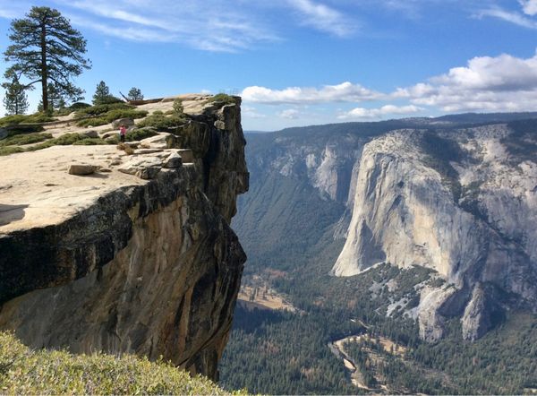 アメリカ(米国)・サンフランシスコ「NRT ✈︎ HKG ✈︎ SFO ⛐ Yosemite ⛐ SFO ✈︎ HKG ✈︎ NRT」の写真：偶然撮れたプロポーズの写真で、たちまち有...