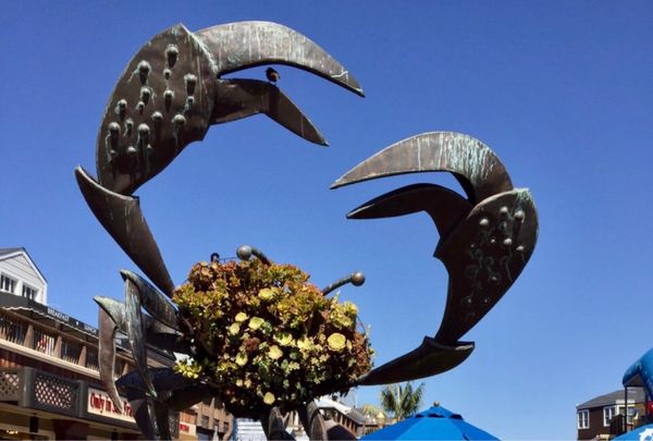 アメリカ(米国)・サンフランシスコ「NRT ✈︎ HKG ✈︎ SFO ⛐ Yosemite ⛐ SFO ✈︎ HKG ✈︎ NRT」の写真：翌日はフィッシャーマンズワーフを散策