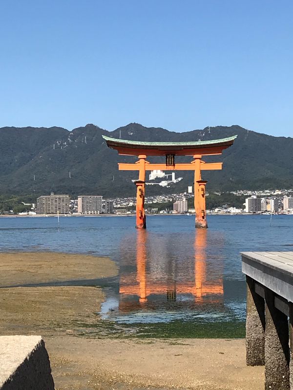 日本・広島県「広島・アルスLIVE」の写真