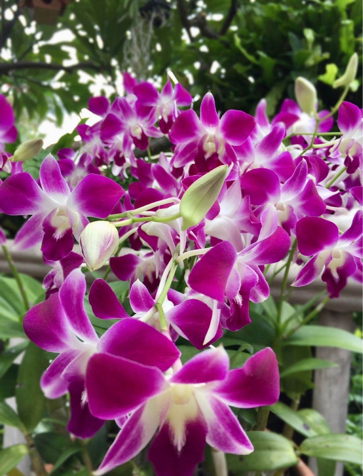 象の置物が至る所に。