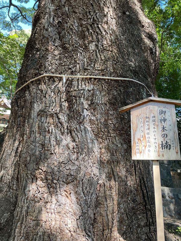 日本・神奈川県「湯河原」の写真