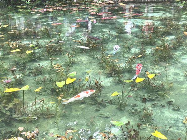 日本・岐阜県「下呂温泉」の写真