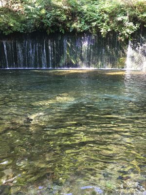 1枚目　旧碓氷峠　本当は旧軽井沢から歩きたかったが、山ビルが凄いという情報...