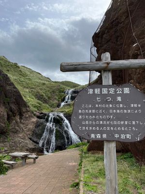 津軽半島
道路沿いに野生の猿があちらこちらいます。