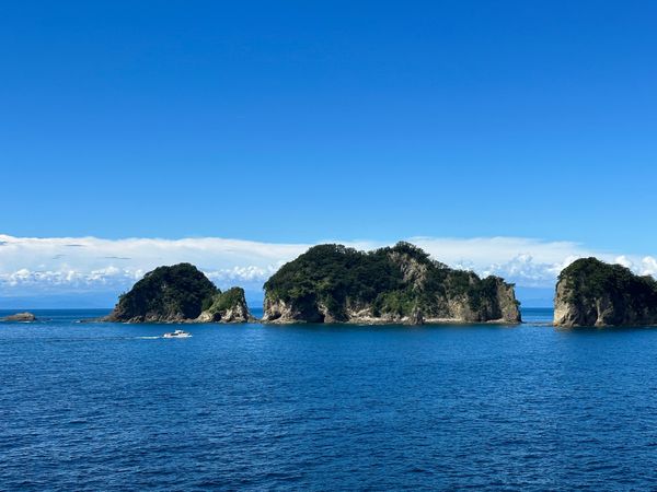 日本・静岡県「静岡県  伊豆」の写真