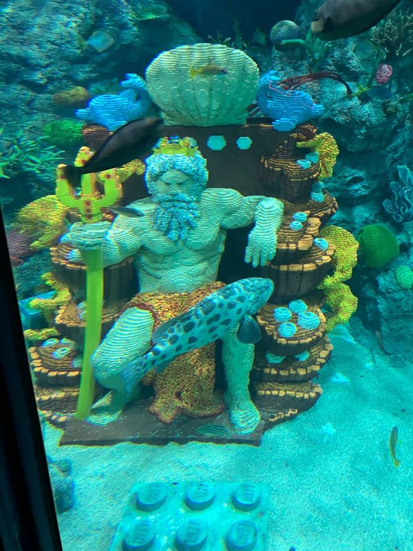 日本「名古屋に住んでいます。」の写真：レゴランド・ジャパンの水族館。シーライフ。小...