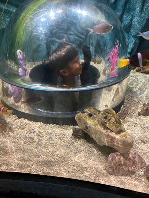 レゴランド・ジャパンの水族館。
シーライフ。
小さいけど楽しめました🐟