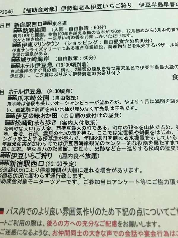 日本・静岡県「伊豆半島早春の旅」の写真