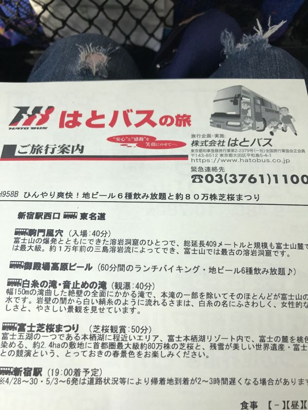 日本・静岡市「ひんやり爽快！地ビール6種飲み放題と約80万株芝桜まつり」の写真