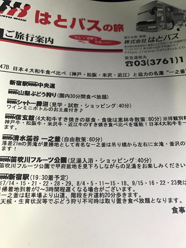 日本・山梨県「日本4大和牛食べ比べ（神戸・松坂・米沢・近江）と迫力の名湯"一之釜"」の写真