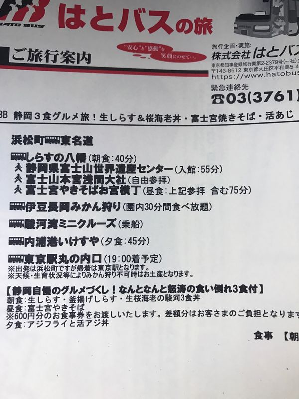 日本・静岡県「静岡3食グルメ旅！生しらす丼&桜海老丼・富士宮焼きそば・生アジ」の写真