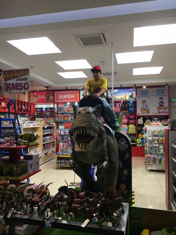 マレーシア「めい初海外」の写真：マレーシア空港には熱帯雨林もありかなり遊...