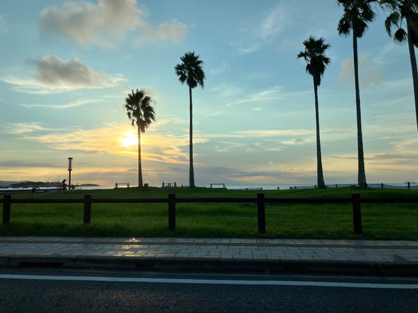 日本・千葉県「初スイートルーム」の写真