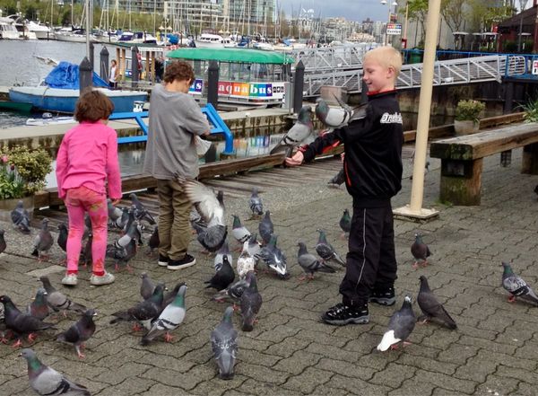 香港・跑馬地 Happy Valley「NRT ✈︎ HKG ✈︎ YVR ⛐ Whistler ⛐ YVR ✈︎ HKG ✈︎ NRT」の写真：グランビルアイランドにて。