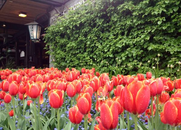 香港・跑馬地 Happy Valley「NRT ✈︎ HKG ✈︎ YVR ⛐ Whistler ⛐ YVR ✈︎ HKG ✈︎ NRT」の写真：スタンレーパーク。