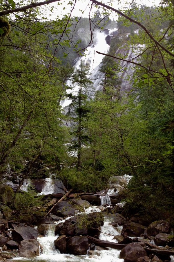 香港・跑馬地 Happy Valley「NRT ✈︎ HKG ✈︎ YVR ⛐ Whistler ⛐ YVR ✈︎ HKG ✈︎ NRT」の写真：片道約2時間のドライブの途中、カナダ人妻...