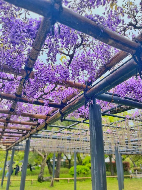 日本・京都府「京都」の写真