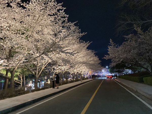 大韓民国 (韓国)・釜山広域市「韓国釜山訪問旅行」の写真