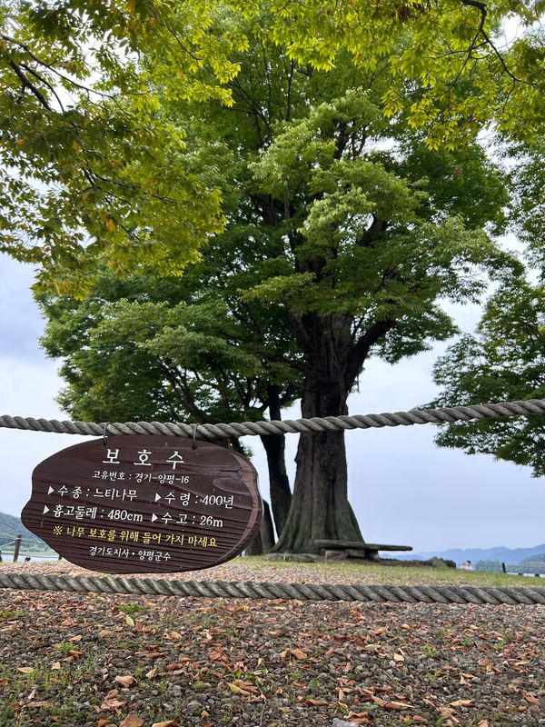 大韓民国 (韓国)・ソウル「韓国ソウル・京畿道ツアー」の写真